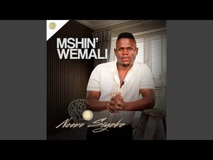 MSHINWEMALI – NCONO SIYEKE FT. SHENGE WASEHLALANKOSI