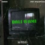 Teemza – Dali Wami Ft. Mpho Spizzy