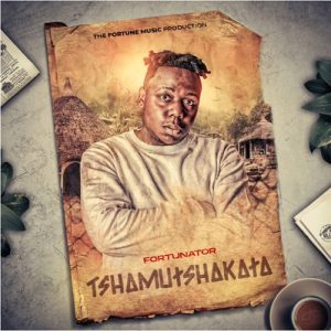 Fortunator – Shaya Shaya Ft. Mac J & Soundslucid