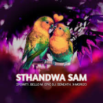 2Point1 - Sthandwa Sami