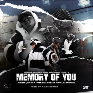 Malome Vector & Lizwi Wokuqala – Memory Of You Ft. Aubrey Qwana, Trymore, Maraza, SANNERE & Mally