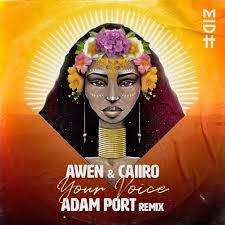 Awen & Caiiro – Your Voice