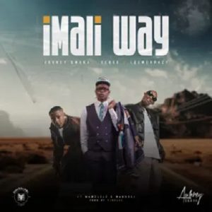 Aubrey Qwana, EeQue & LeeMckrazy – Imali Way Ft. Mawelele & Makhosi